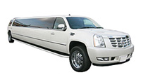 `20 Passenger Stretch Limo SUV 